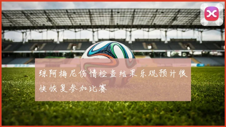 琼阿梅尼伤情检查结果乐观预计很快恢复参加比赛